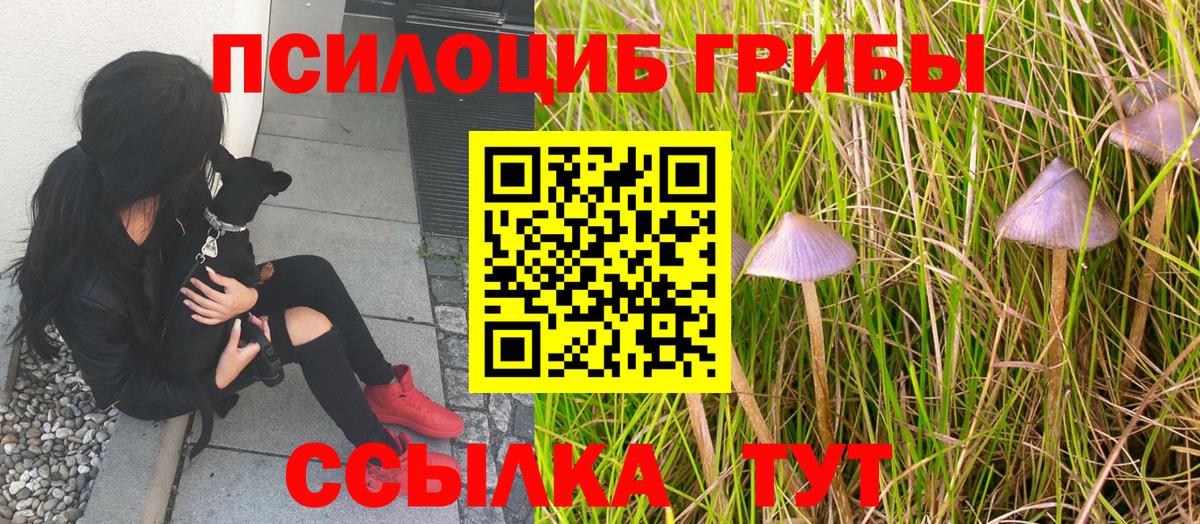 Галлюциногенные грибы мухоморы Серпухов